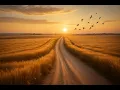 Download Lagu Instrumen Musik Country untuk Menemani Perjalananmu