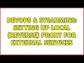 DevOps SysAdmins Setting up local reverse proxy for external services