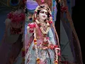Download Lagu Saras Kishori @sanatanasankirtan  #radhastami #barsana #vrindavan #radharani #ytshort #mayapur