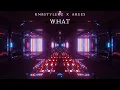 Download Lagu Rnbstylerz \u0026 AREES - WHAT
