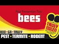 Help Avoid Bee Infestations - Call Truly Nolen Tallahassee