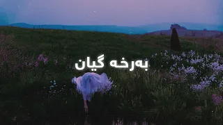 najmadin ghulami barxa gyan lyrics 