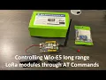 How to control Wio-E5 long range LoRa modules Grove development board through AT commands