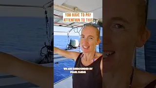 WHY SAILING is so difficult 😱 #sailingcatamaran
