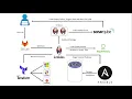 Automated PHP Application Deployment using Ansible