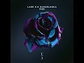 Run - Lane 8 & Kasablanca