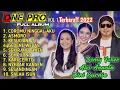 Download Lagu ONE PRO full album terbaru 2022 [Dangdut koplo] Oslo Oslo