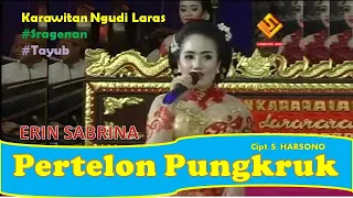 erin sabrina pertelon pungkruk original version official video 