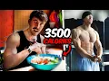 MY LEAN BULKING DIET 3500 Calories
