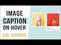 Image Captions On Hover CSS CSS Image Hover Effects CSS Tutorial 2019