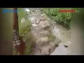 Download Lagu sadis seorang ibu melahirkan di jalan 😭😭😭