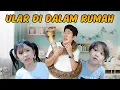 Download Lagu DI LILIT ULAR SAAT TIDUR PAPOY SAMPE MAU NANGIS