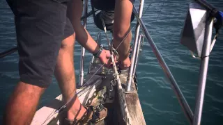 How to anchor a yacht in coral waters – Yachting World Bluewater Sailing Series
