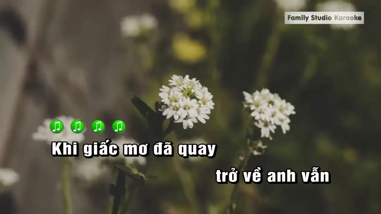 Karaoke Khi Giấc Mơ Về Tone Nam