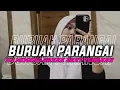 Download Lagu DJ MINANG TERBARU || BURUAK PARANGAI UDA MALAH KIRONYO DALAM BABIMBIANG || DJ BURUAK PARANGAI