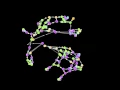 Duplication of computation in the same time