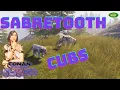 What s up with Sabretooth Cubs Conan Exiles Sorcery Ep47