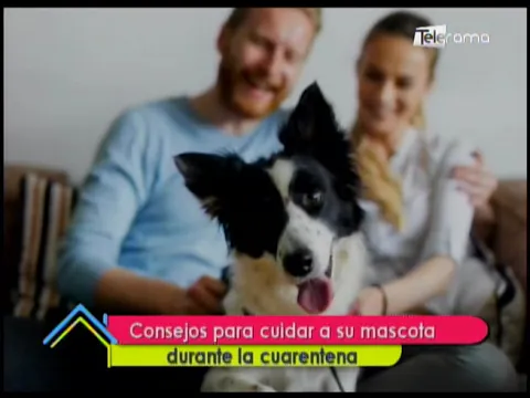 Consejos para cuidar a su mascota durante la cuarentena 