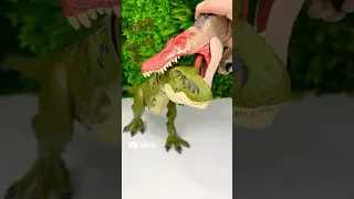                              دندنها