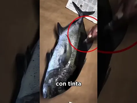 Imprimir peces? 😨