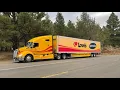 Love LTS Driver