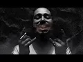 Post Malone ft Eminem - paradise