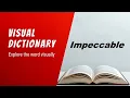 Impeccable Meaning Impeccable Definition Impeccable Pronunciation Visual Dictionary