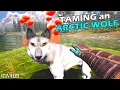 Download Lagu Taming an Arctic Wolf - ICARUS Gameplay (2025) - Ep 18