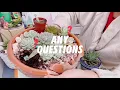 #4|SUCCULENTS CARE TIPS|DO's & DONT's./By:Señora Jhuday