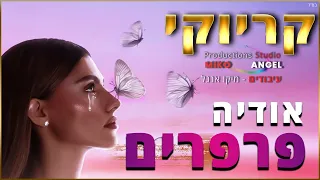 קריוקי פרפרים אודיה 