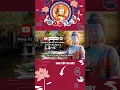 Download Lagu 4 CHỮ ĐỂ SỐNG LUÔN AN LẠC BÌNH AN 7  #phậtphápnhiệmmàu #loiphatday #lờiphậtdạy