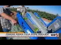 New Mexico researchers look to make green chile more resilient