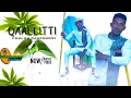 Download Lagu Caalaa Saafawoo  Qaallittii - New Ethiopian Oromo Music 2021(Official videos)