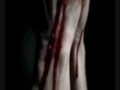 True Blood The Comlete First Season HBO