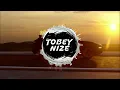 Paula Hartmann - schwarze SUVs (TOBEY NIZE REMIX)