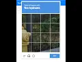 Recaptcha in React