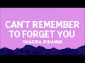 Download Lagu Shakira - Can't Remember to Forget You (Lyrics) ft. Rihanna