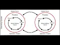 1 Networking in Java - What is a Thread