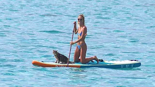 living alone on a sailboat with my CAT! The challenges we actually face [ep 182]