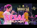 Download Lagu SESAL -LAILA AYU -MAHESA MUSIC -DHEHAN PRO_LIVE PESTA RAKYAT TUMAPEL GRESIK