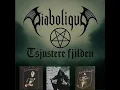 Download Lagu Diabolique - Tsjustere Fjilden Full Album 1999