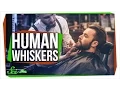 Why Don t Humans Have Whiskers