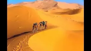 فرقة الزاوية اجمل موسيقى المرحوم عبد القادر العجابي  دندنها