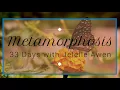 Inner Child, Star Seed, Inner Teenager Healing: Day 32 - 33 Days W/Jelelle Awen