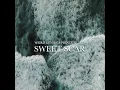 Sweet Scar (feat. Prince Husein) - Weird Genius