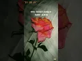 Runtuh Tepat Waktu - Figura Renata💝 (fansvidofficial lirik)