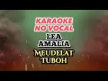 Download Lagu (Karaoke) LEA AMALIA - MEUDELAT TUBOH #jangeun #leaamalia #meudelattuboh #karaokeaceh