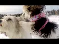 Day-Zee (Daisy) feat. Lucky