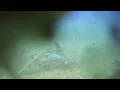 OBSEA CAM Crawler 2