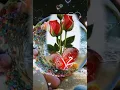 Download Lagu illallah hoo la ilaha illallah la ilaha illallah la ilaha illallah la ilaha